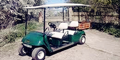 Cushman Shuttle 4 con pianale